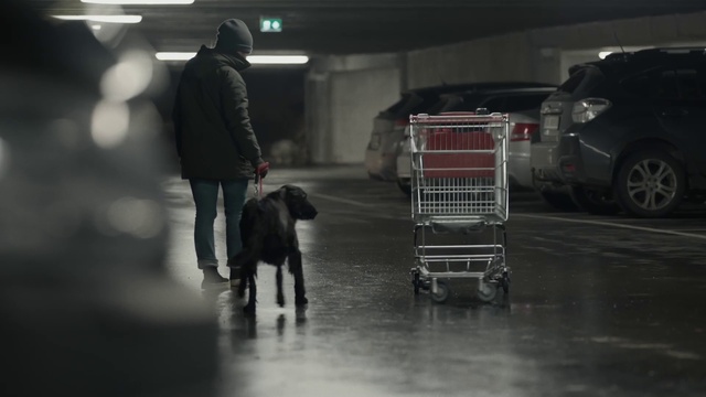 Video Reference: Tire, Wheel, Dog, Black, Standing, Automotive tire, Carnivore, Mode of transport, Shopping cart, Vehicle