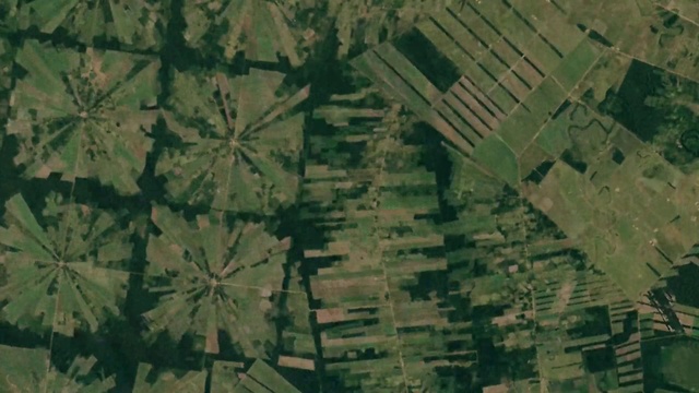 Video Reference: Symmetry, Tints and shades, Pattern, Terrestrial plant, Parallel, Urban design, Art, Visual arts, Landscape, Wood