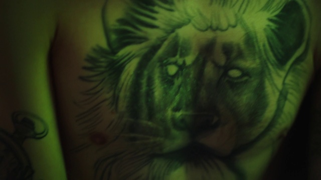 Video Reference: Felidae, Lion, Big cats, Art, Grass, Whiskers, Painting, Eyelash, Close-up, Terrestrial animal