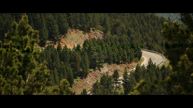 Video Reference: Plant, Mountain, Tree, Natural landscape, Larch, Highland, Wood, Terrain, Landscape, Mountainous landforms
