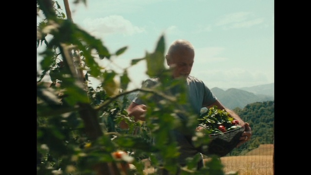 Video Reference: Flower, Cloud, Sky, Plant, Leaf, People in nature, Grass, Agriculture, Farmer, Happy