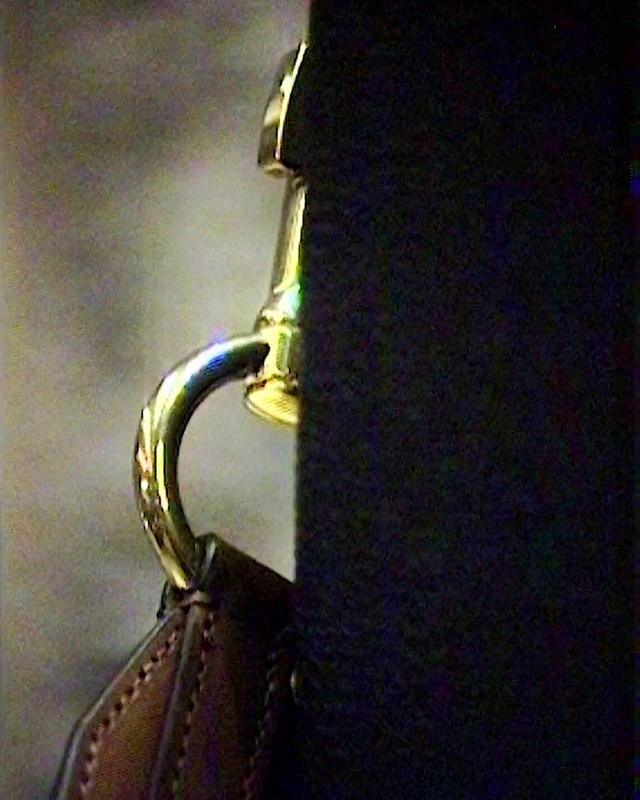 Video Reference: Musical instrument, Sleeve, Bag, Tints and shades, Strap, Electric blue, Eyewear, Natural material, Wind instrument, Shoulder bag