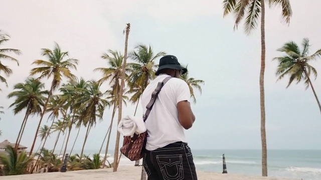 Video Reference: Water, Sky, Plant, Vertebrate, Tree, Hat, Mammal, Travel, People on beach, Arecales