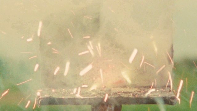 Video Reference: Vertebrate, Nature, Natural environment, Organism, Vegetation, Plant, Sunlight, Atmospheric phenomenon, Grass, Smoke