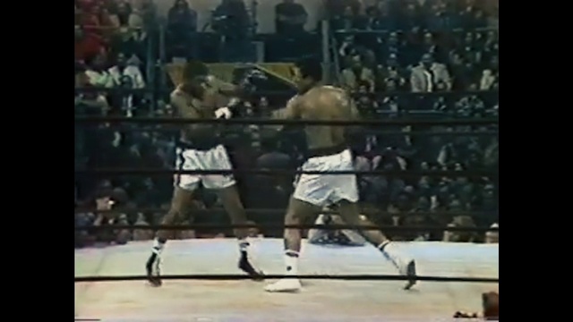 Video Reference: Shorts, Active shorts, Sports equipment, Combat sport, Striking combat sports, Sports, Contact sport, Professional boxer, Competition event, Player