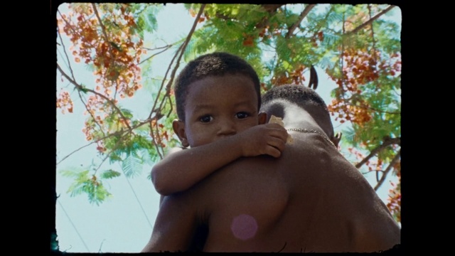 Video Reference: Hair, Face, Head, Eye, Plant, Tree, Organism, Happy, People in nature, Fawn