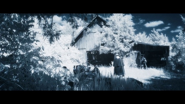 Video Reference: World, Window, Natural landscape, Plant, Grass, Tree, Tints and shades, Sky, Font, Landscape