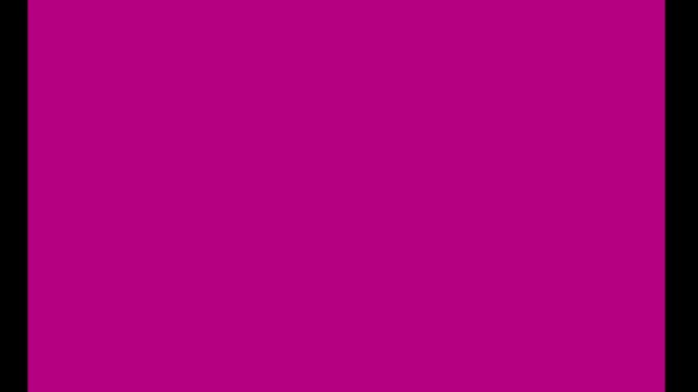 Video Reference: magenta, solid color, blank screen, abstract, background, minimal, flat color, screen fill, black bars, no subject