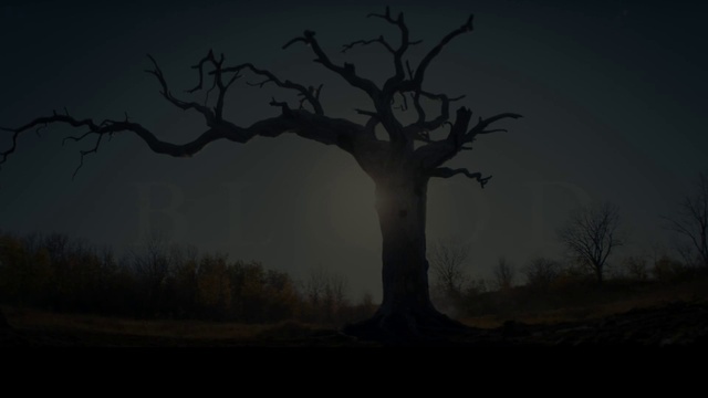 Video Reference: Sky, Atmosphere, Plant, Natural landscape, Twig, Wood, Tree, Trunk, Grey, Fog
