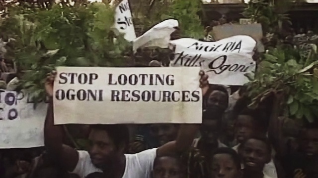 Video Reference: Plant, Vertebrate, White, Mammal, Organism, Font, Adaptation, Event, Crowd, T-shirt