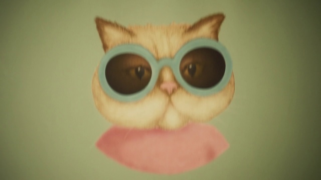Video Reference: Nose, Glasses, Eye, Cat, Toy, Vision care, Felidae, Carnivore, Small to medium-sized cats, Creative arts