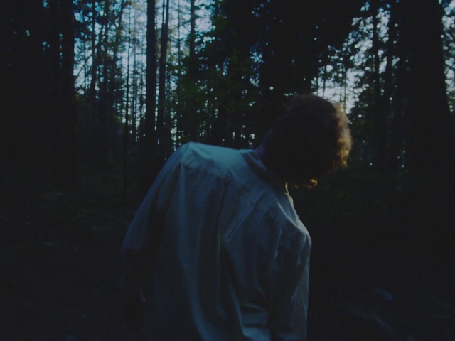 Video Reference: Atmosphere, People in nature, Flash photography, Tree, Wood, Atmospheric phenomenon, Grass, Tints and shades, Trunk, Lens flare