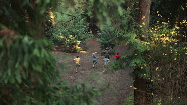 Video Reference: Plant, Plant community, Natural environment, Natural landscape, Terrestrial plant, Sunlight, People in nature, Vegetation, Grass, Biome