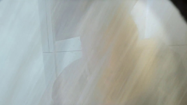 Video Reference: Wood, Tree, Tints and shades, Flooring, Hardwood, Transparent material, Plant, Peach, Shadow