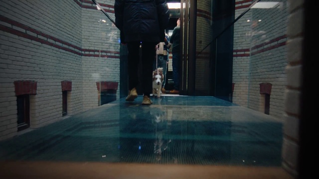 Video Reference: Floor, Flooring, Recreation, Leisure, Glass, Fun, Symmetry, Sports, Sportswear, Room