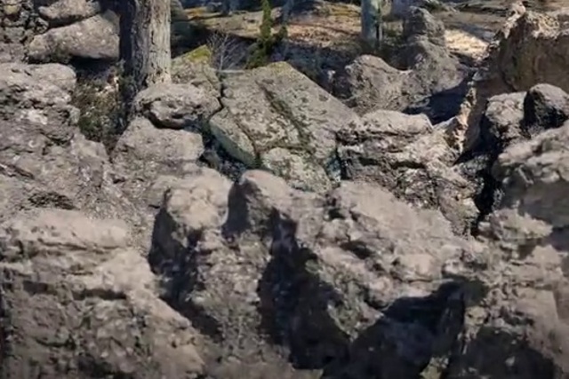 Video Reference: Bedrock, Formation, Plant, Wood, Landscape, Outcrop, Soil, Fault, Natural landscape, Rock