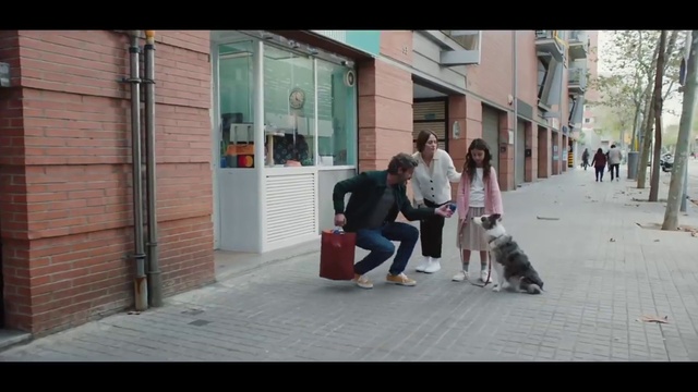 Video Reference: Dog, Infrastructure, Building, Sidewalk, Neighbourhood, Dog breed, Door, Road, Companion dog, Road surface