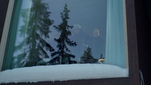 Video Reference: Snow, Window, Tree, Slope, Wood, Plant, Freezing, Terrain, Evergreen, Tints and shades