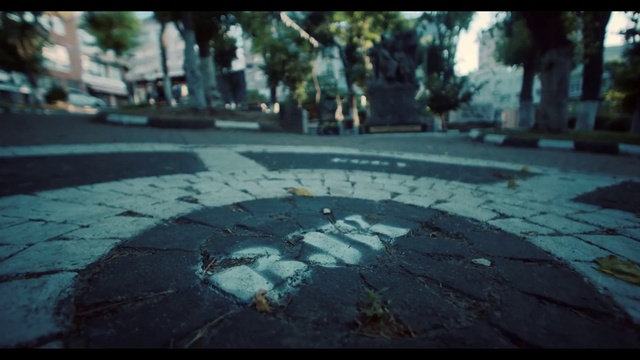 Video Reference: Road surface, Nature, Leaf, Asphalt, Tree, Sunlight, Road, Morning, City, Sidewalk