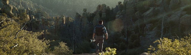 Video Reference: Plant, Ecoregion, Sunlight, Atmospheric phenomenon, People in nature, Biome, Tree, Woody plant, Morning, Landscape