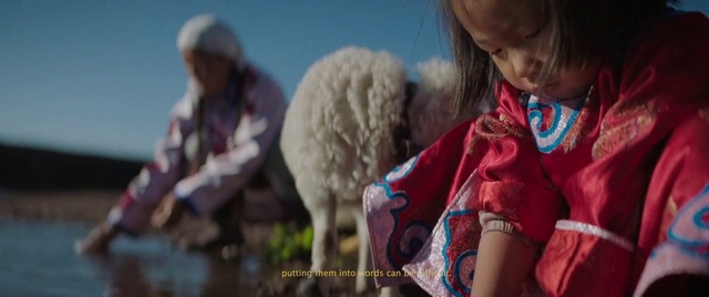 Video Reference: Sky, Happy, Grass, Fun, People in nature, Fur, Landscape, Recreation, Wool, Grassland