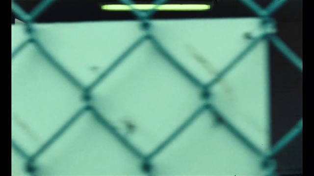 Video Reference: Azure, Mesh, Fence, Wire fencing, Triangle, Symmetry, Pattern, Tints and shades, Font, Electric blue