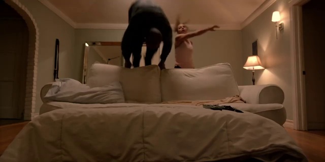 Video Reference: Comfort, Dog, Wood, Grey, Floor, Bed, Lamp, Wall, Carnivore, Flooring