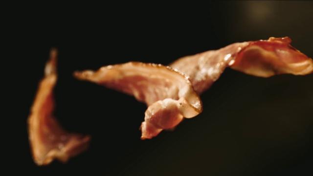 Video Reference: Gesture, Bat, Macro photography, Event, Wood, Wildlife, Darkness, Art, Marine invertebrates, Invertebrate