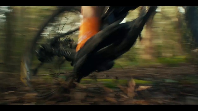 Video Reference: Plant, Beak, Bird, Wood, Fish, Grass, Tints and shades, Twig, Underwater, Tail