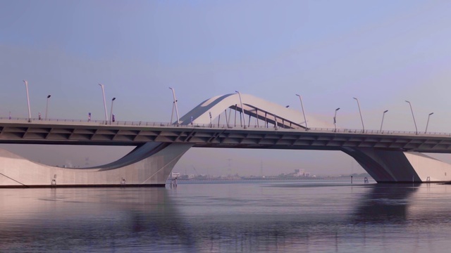 Video Reference: Water, Sky, Mammal, Body of water, Line, Girder bridge, Suspension bridge, Horizon, Waterway, Bridge