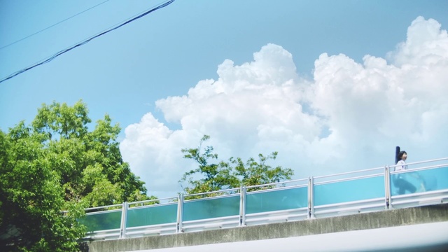 Video Reference: Cloud, Sky, Daytime, Fence, Tree, Cumulus, Overhead power line, Road, Electricity, Bridge