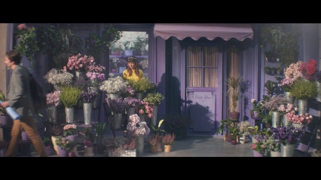 Video Reference: Plant, Flowerpot, Window, Flower, Purple, Entertainment, Art, Tree, Flower Arranging, Painting