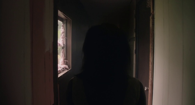Video Reference: Window, Wood, Tints and shades, Building, Darkness, Hardwood, Room, Visual arts, Glass, Shadow