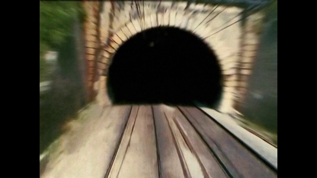 Video Reference: Eyelash, Wood, Tints and shades, Art, Grass, Circle, Happy, Symmetry, Road, Rectangle