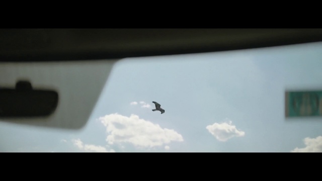 Video Reference: Cloud, Sky, Atmosphere, Bird, Wing, Tints and shades, Rectangle, Font, Event, Monochrome photography