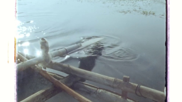 Video Reference: Water, Liquid, Fluid, Wood, Lake, Boats and boating--Equipment and supplies, Calm, Twig, Reflection, Rectangle