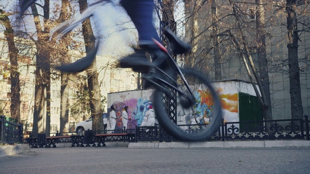 Video Reference: Wheel, Tire, Plant, Sports equipment, Bicycle wheel, Tree, Art, Rolling, Wall, Public space