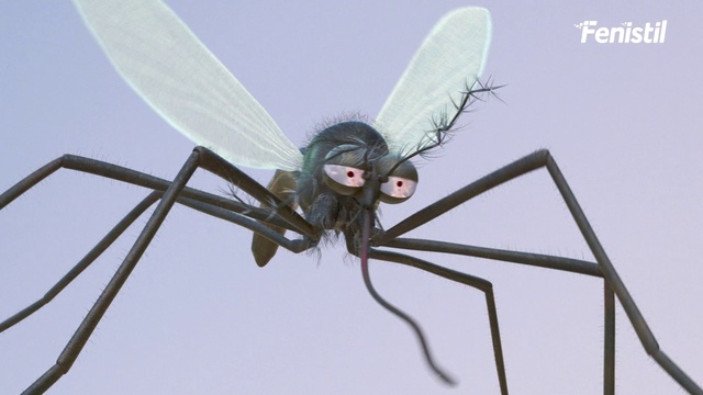 Video Reference: Head, Sky, Wing, Arthropod, Circle, Event, Mechanical fan, Symmetry, Aircraft engine, Auto part