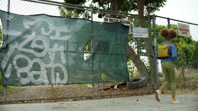 Video Reference: Tree, Plant, Road surface, Asphalt, Grass, Wall, Fence, Gas, Motor vehicle, Art