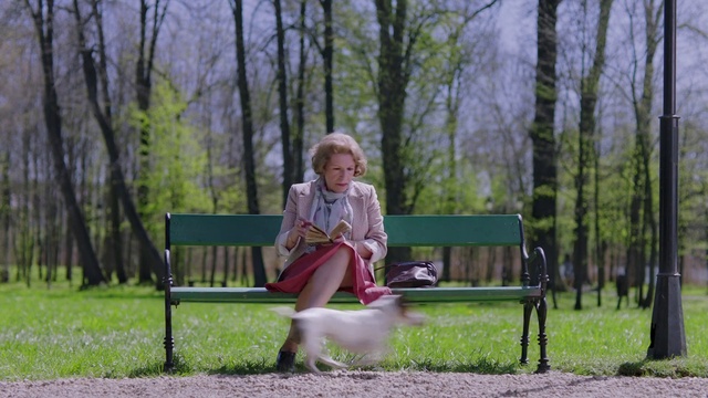 Video Reference: Plant, Outdoor bench, People in nature, Tree, Wood, Outdoor furniture, Grass, Leisure, Woody plant, Recreation