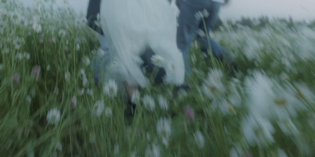 Video Reference: Plant, Grass, Meadow, Freezing, Grassland, Crop, Field, Soil, Twig, Tail