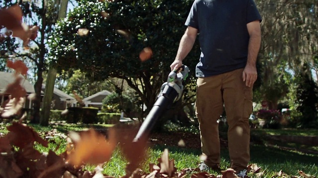 Video Reference: Plant, Botany, People in nature, Tree, Grass, Woody plant, Shrub, Leisure, Lawn, Farmworker