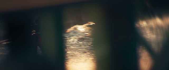 Video Reference: Plant, Water, Cloud, Astronomical object, Tints and shades, Horizon, Heat, Wood, Midnight, Sunrise