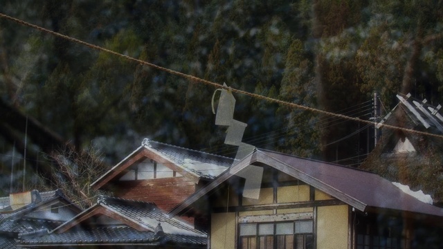 Video Reference: Window, Leaf, Wood, Grey, Biome, Building, Rural area, House, Tree, Morning