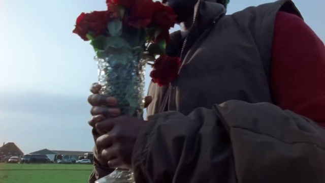 Video Reference: Flower, Plant, Petal, Gesture, Grass, Happy, Flower Arranging, Rose, Bouquet, Sky