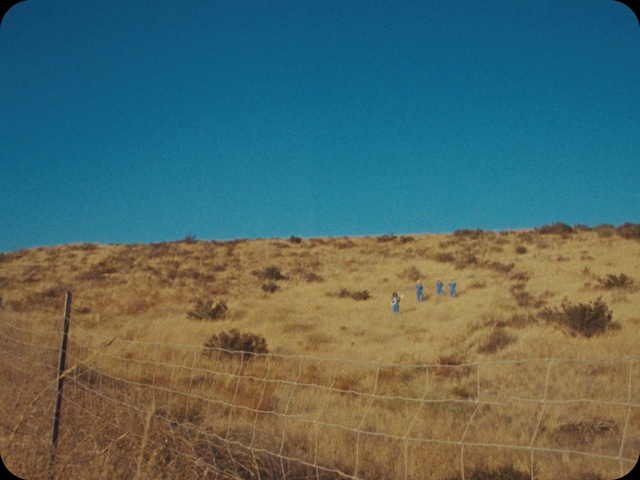 Video Reference: Sky, Daytime, Plant community, Ecoregion, Azure, Plant, Land lot, Fence, Natural landscape, Grass