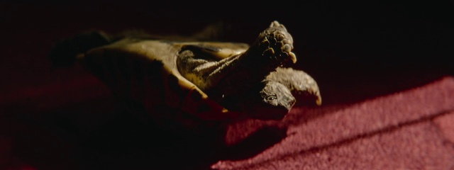 Video Reference: Reptile, Iguania, Scaled reptile, Wood, Terrestrial animal, Sculpture, Lizard, Snout, Insect, Tail