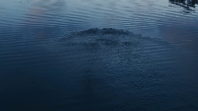 Video Reference: Water, Liquid, Fluid, Landscape, Slope, Horizon, Wind wave, Lake, Electric blue, Reflection