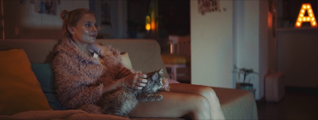 Video Reference: Cat, Comfort, Felidae, Carnivore, Finger, Fawn, Small to medium-sized cats, Happy, Whiskers, Long hair