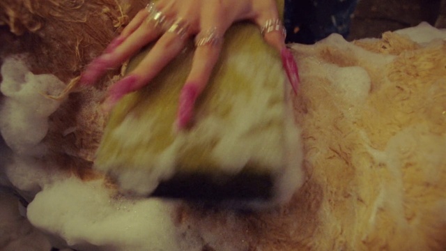 Video Reference: Wood, Nail, Human leg, Fur, Ingredient, Soil, Foot, Natural material, Hardwood, Flesh